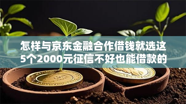 怎样与京东金融合作借钱就选这5个2000元征信不好也能借款的平台