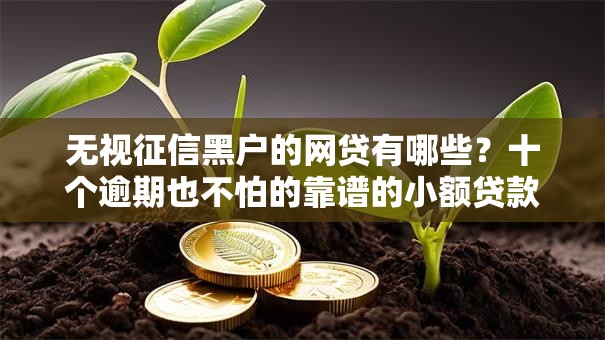 无视征信黑户的网贷有哪些？十个逾期也不怕的靠谱的小额贷款平台