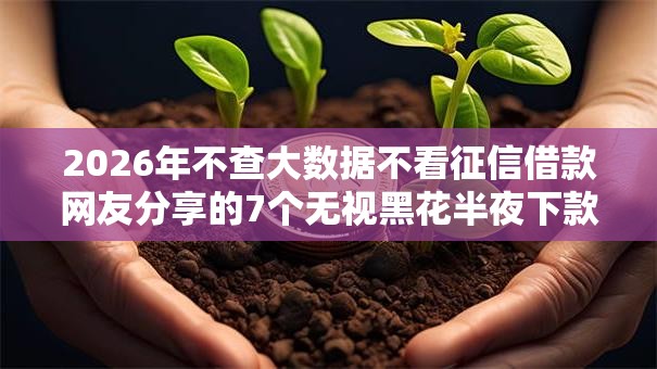 2026年不查大数据不看征信借款网友分享的7个无视黑花半夜下款的网贷口子我觉得不错！