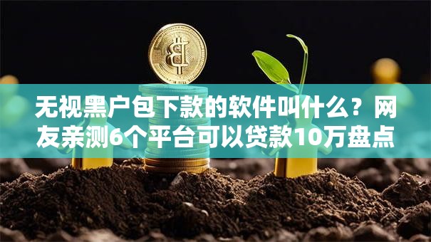 无视黑户包下款的软件叫什么?网友亲测6个平台可以贷款10万盘点 无视黑户包下款的软件叫什么?网友亲测6个平台可以贷款10万盘点