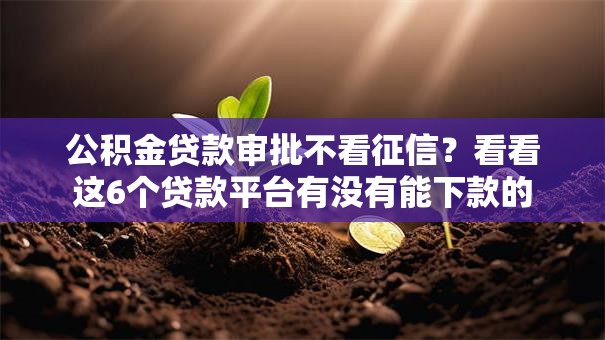 公积金贷款审批不看征信?看看这6个贷款平台有没有能下款的 公积金贷款审批不看征信?看看这6个贷款平台有没有能下款的