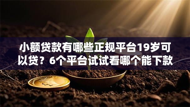 小额贷款有哪些正规平台19岁可以贷？6个平台试试看哪个能下款
