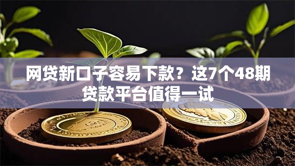 网贷新口子容易下款？这7个48期贷款平台值得一试