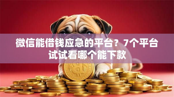 微信能借钱应急的平台？7个平台试试看哪个能下款