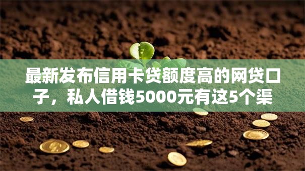 最新发布信用卡贷额度高的网贷口子，私人借钱5000元有这5个渠道