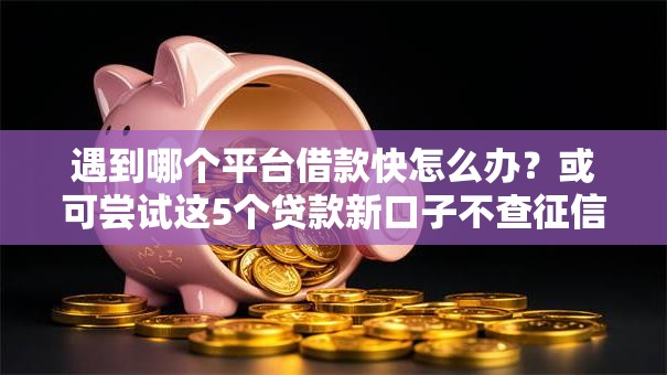 遇到哪个平台借款快怎么办？或可尝试这5个贷款新口子不查征信2025