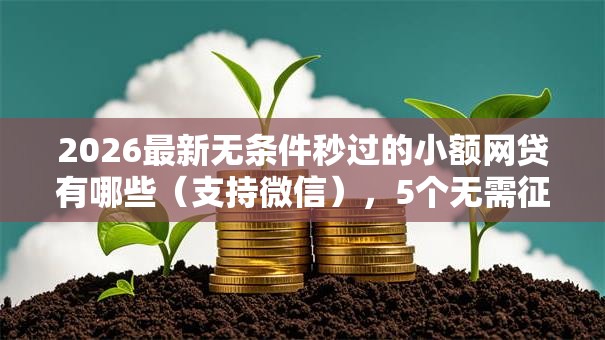 2026最新无条件秒过的小额网贷有哪些（支持微信），5个无需征信无房无车能借钱的贷款平台无私分享