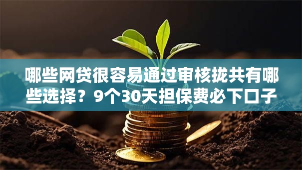 哪些网贷很容易通过审核拢共有哪些选择？9个30天担保费必下口子2025详解