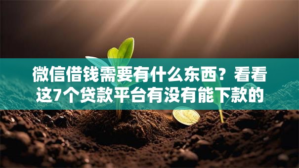 微信借钱需要有什么东西？看看这7个贷款平台有没有能下款的