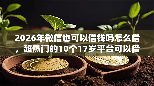 2026年微信也可以借钱吗怎么借，超热门的10个17岁平台可以借钱推荐