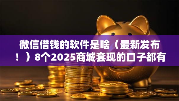 微信借钱的软件是啥（最新发布！）8个2025商城套现的口子都有什么