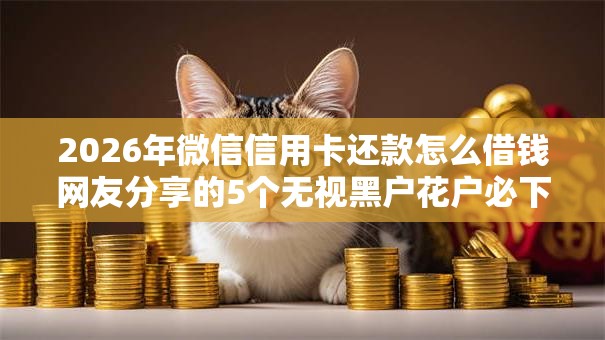 2026年微信信用卡还款怎么借钱网友分享的5个无视黑户花户必下款口子我觉得不错！