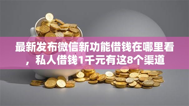 最新发布微信新功能借钱在哪里看，私人借钱1千元有这8个渠道