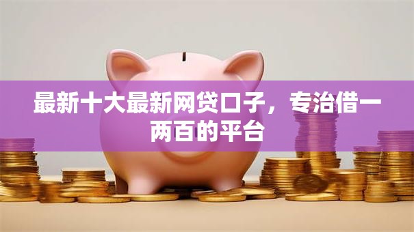 最新十大最新网贷口子，专治借一两百的平台