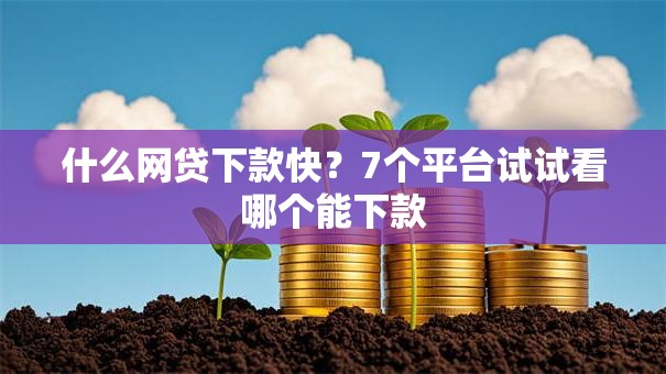 什么网贷下款快？7个平台试试看哪个能下款