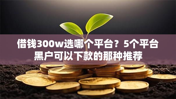 借钱300w选哪个平台？5个平台黑户可以下款的那种推荐