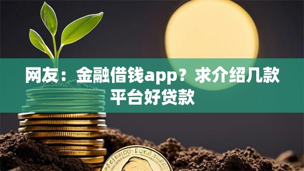 网友：金融借钱app？求介绍几款平台好贷款