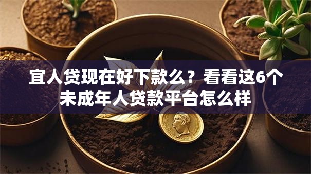宜人贷现在好下款么？看看这6个未成年人贷款平台怎么样
