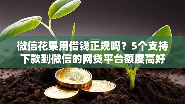 微信花果用借钱正规吗？5个支持下款到微信的网贷平台额度高好下款的