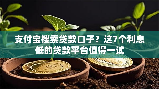 支付宝搜索贷款口子？这7个利息低的贷款平台值得一试