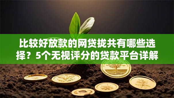 比较好放款的网贷拢共有哪些选择？5个无视评分的贷款平台详解