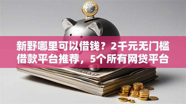 新野哪里可以借钱？2千元无门槛借款平台推荐，5个所有网贷平台盘点