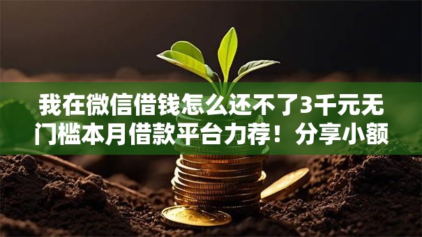 我在微信借钱怎么还不了3千元无门槛本月借款平台力荐！分享小额网贷口子3千元无门槛借款