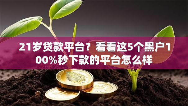 21岁贷款平台？看看这5个黑户100%秒下款的平台怎么样