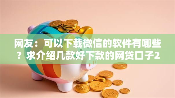 网友：可以下载微信的软件有哪些？求介绍几款好下款的网贷口子2025