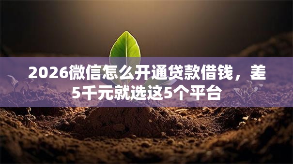 2026微信怎么开通贷款借钱，差5千元就选这5个平台