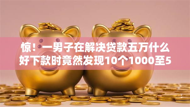 惊！一男子在解决贷款五万什么好下款时竟然发现10个1000至5000的小额贷款口子，事后分享了出来