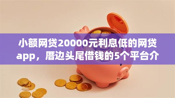 小额网贷20000元利息低的网贷app，厝边头尾借钱的5个平台介绍