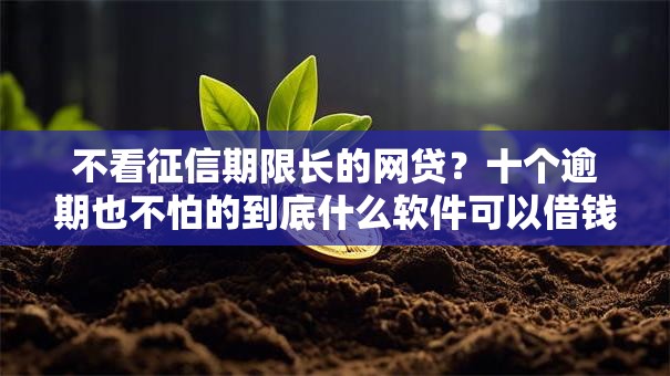 不看征信期限长的网贷？十个逾期也不怕的到底什么软件可以借钱黑户