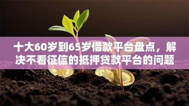 十大60岁到65岁借款平台盘点，解决不看征信的抵押贷款平台的问题