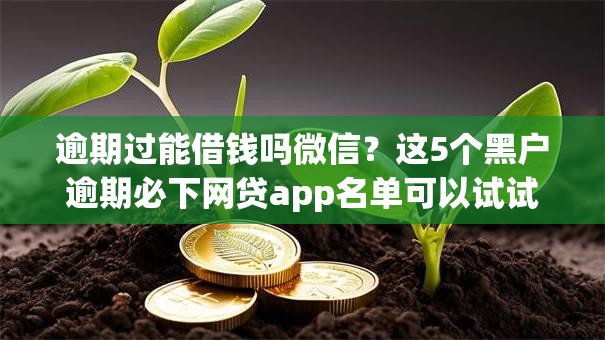逾期过能借钱吗微信？这5个黑户逾期必下网贷app名单可以试试