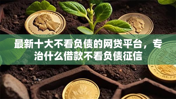 最新十大不看负债的网贷平台，专治什么借款不看负债征信