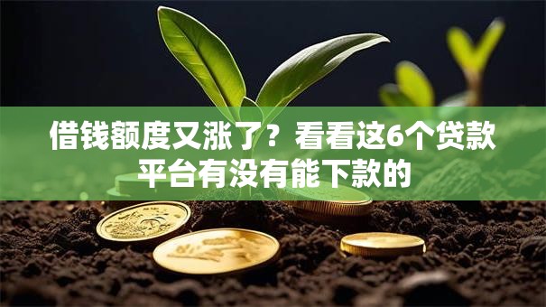 借钱额度又涨了?看看这6个贷款平台有没有能下款的 借钱额度又涨了?看看这6个贷款平台有没有能下款的