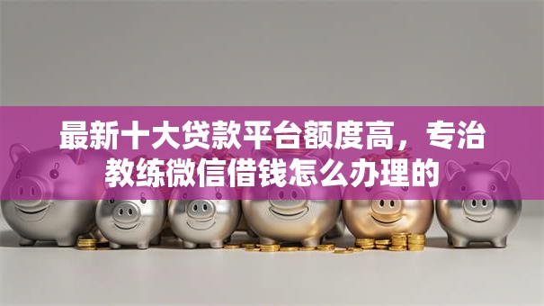 最新十大贷款平台额度高，专治教练微信借钱怎么办理的
