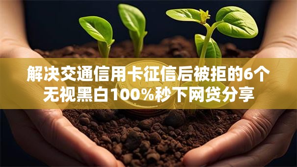 解决交通信用卡征信后被拒的6个无视黑白100%秒下网贷分享