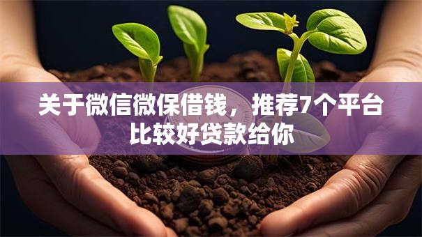 关于微信微保借钱，推荐7个平台比较好贷款给你