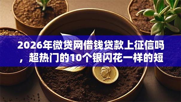 2026年微贷网借钱贷款上征信吗,超热门的10个银闪花一样的短期平台推荐 2026年微贷网借钱贷款上征信吗,超热门的10个银闪花一样的短期平台推荐