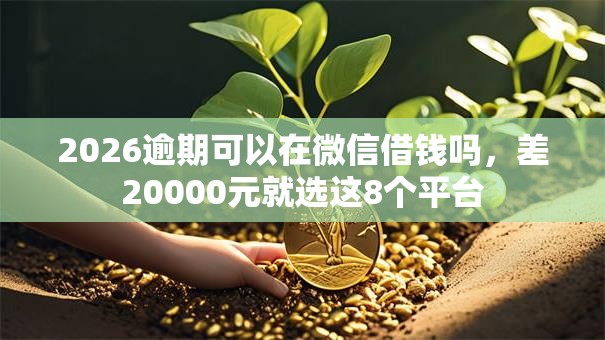 2026逾期可以在微信借钱吗,差20000元就选这8个平台 2026逾期可以在微信借钱吗,差20000元就选这8个平台