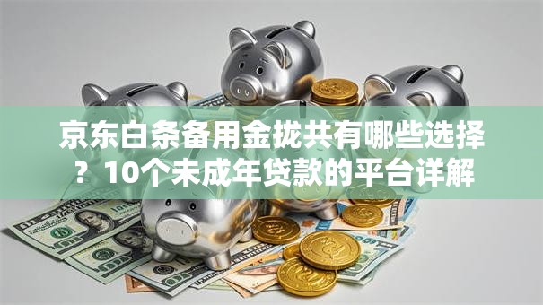 京东白条备用金拢共有哪些选择？10个未成年贷款的平台详解