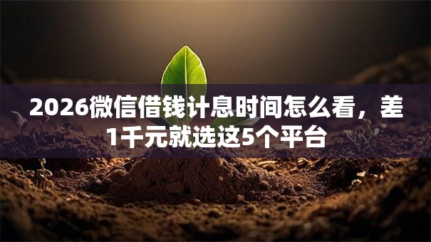 2026微信借钱计息时间怎么看，差1千元就选这5个平台