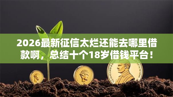 2026最新征信太烂还能去哪里借款啊，总结十个18岁借钱平台！