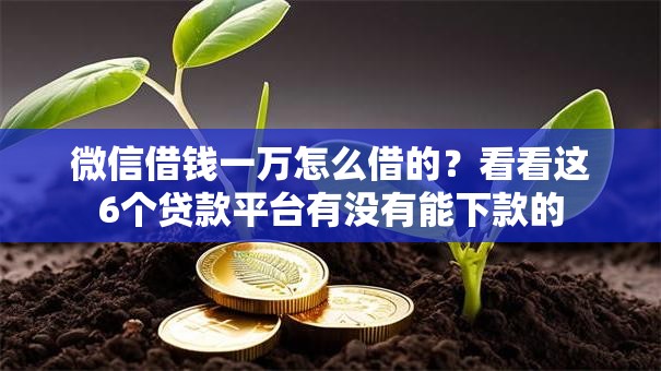 微信借钱一万怎么借的？看看这6个贷款平台有没有能下款的