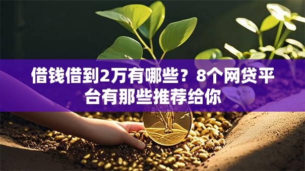 借钱借到2万有哪些？8个网贷平台有那些推荐给你
