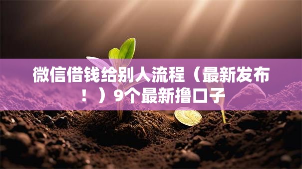 微信借钱给别人流程（最新发布！）9个最新撸口子
