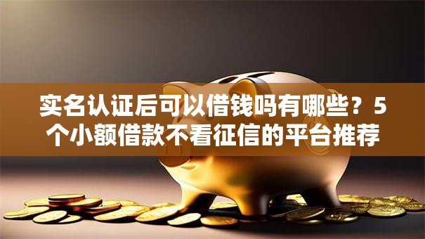 实名认证后可以借钱吗有哪些?5个小额借款不看征信的平台推荐给你 实名认证后可以借钱吗有哪些?5个小额借款不看征信的平台推荐给你