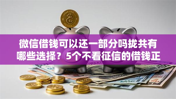 微信借钱可以还一部分吗拢共有哪些选择？5个不看征信的借钱正规平台详解
